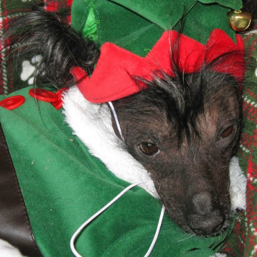 Meet your Posher, Kato!